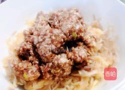 萝卜丝肉馅的做法的做法图解8