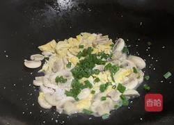 蘑菇炒鸡蛋的做法图解9