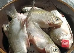 麻辣小鲫鱼的做法图解1