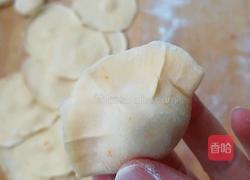 胡萝卜水饺的做法图解8