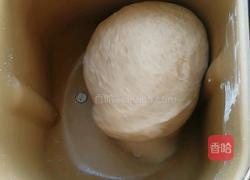 全麦豆沙包的做法图解3