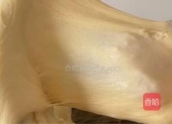 淡奶油餐包的做法图解6