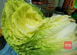 冬天里的酸白菜的做法图解3