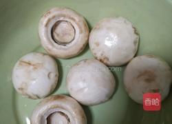 花茶口蘑的做法图解1