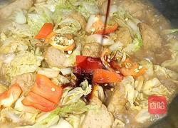 白菜炖肉圆子的做法图解9