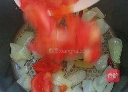 西红柿炖牛腩的做法图解4