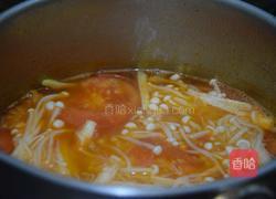 番茄金针菇汤的做法图解10
