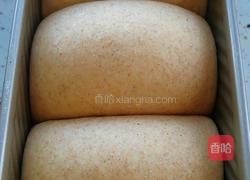 全麦吐司的做法图解11