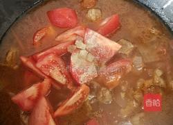 番茄炖牛腩的做法图解10