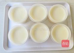 银耳奶冻的做法图解11