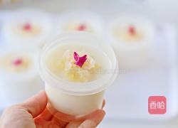 银耳奶冻的做法图解14