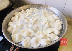 酸菜饺子的做法图解15