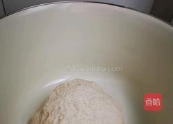 创意菜谱 胡萝卜香菇牛肉包的做法图解2