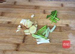 萝卜炖牛肉的做法图解4