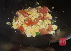 鸡蛋炒番茄的做法图解9