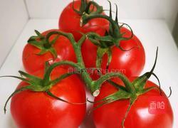 家庭版番茄酱自制的方法分享的做法图解1