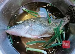 教你烹饪鳜鱼的做法图解5