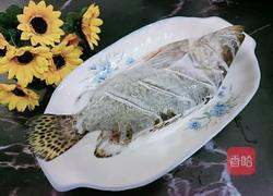 教你烹饪鳜鱼的做法图解8