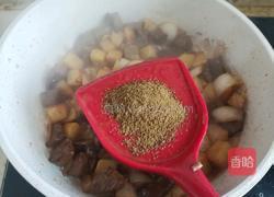 孜然土豆牛肉粒的做法图解10
