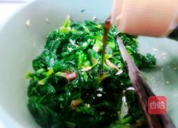 姜汁菠菜的做法图解5