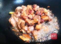 胡萝卜炖羊肉的做法图解4