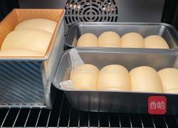 自然一次发酵吐司面包的做法图解4