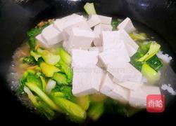 小油菜炖豆腐的做法图解5
