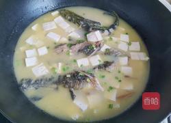 昂刺鱼豆腐汤的做法图解6