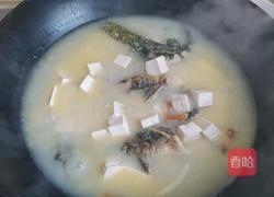 昂刺鱼豆腐汤的做法图解5