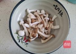 番茄菌菇豆腐汤的做法图解3