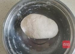 酸汤荠菜鲜肉馄饨的做法图解9