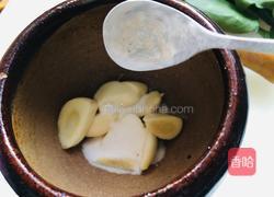 蒜汁菠菜面片的做法图解9