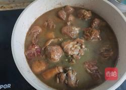 酱香葱油焖鸡腿的做法图解4