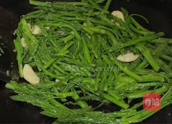 清炒芦笋尖的做法图解9