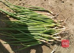 福字千层烧饼的做法图解9