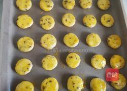 蔓越莓椰蓉酥的做法图解12