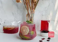 Cranberry Lime Sparkling Water Recipe Illustration 10