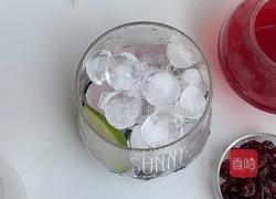 桑葚蔓越莓果汁饮的做法图解4