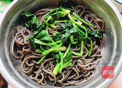 凉拌蕨根粉的做法图解4