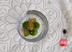 薄荷蔓越莓果汁的做法图解2