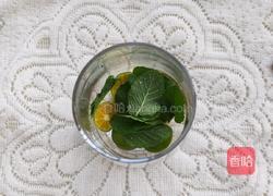 薄荷蔓越莓果汁的做法图解4