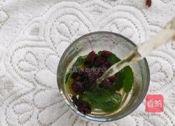 薄荷蔓越莓果汁的做法图解5