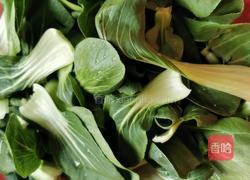 素馅馄饨(首秀)的做法图解2