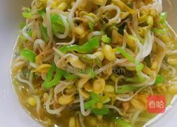 自芽豆芽菜的做法图解6