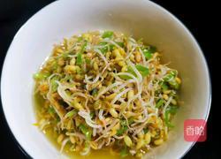 自芽豆芽菜的做法图解8