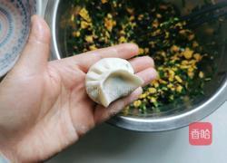 韭菜鸡蛋木耳蒸饺的做法图解18