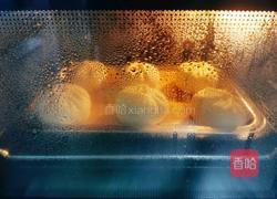 香菇青菜包子的做法图解22