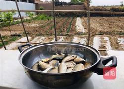 香葱鲫鱼汤的做法图解2