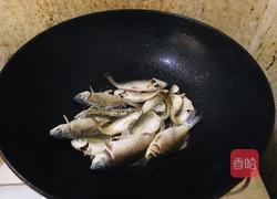 香葱鲫鱼汤的做法图解3