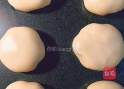 空气炸锅版（鲜肉月饼）的做法图解16